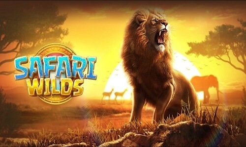 Safari Wilds, PG Slots, slots online, savana africana, grandes prêmios